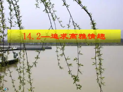 追求高雅情趣ppt优秀课件1