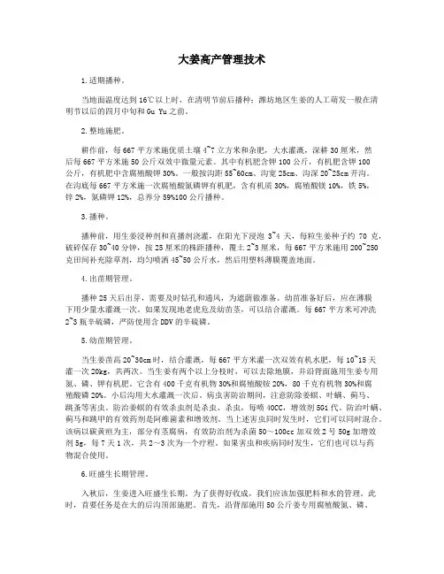 大姜高产管理技术