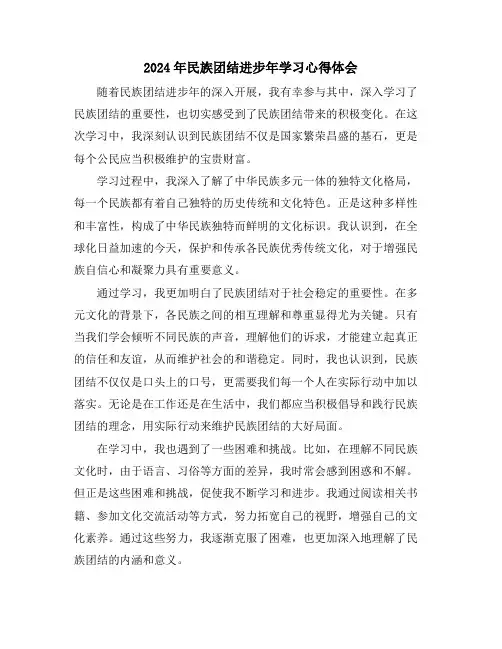 2024年民族团结进步年学习心得体会
