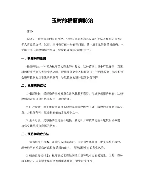 玉树的根瘤病防治