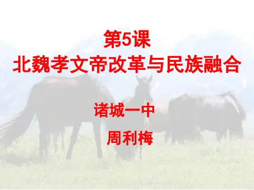 北魏孝文帝改革和民族融合