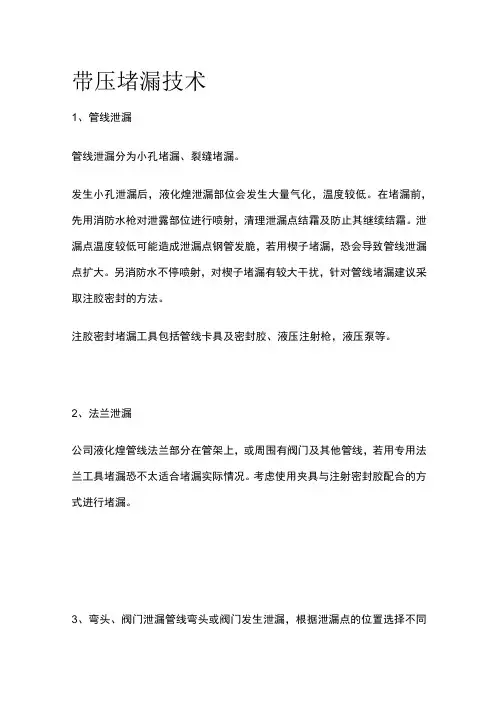 带压堵漏技术[全]