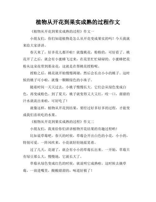 植物从开花到果实成熟的过程作文