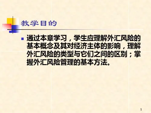 五章节外汇风险管理