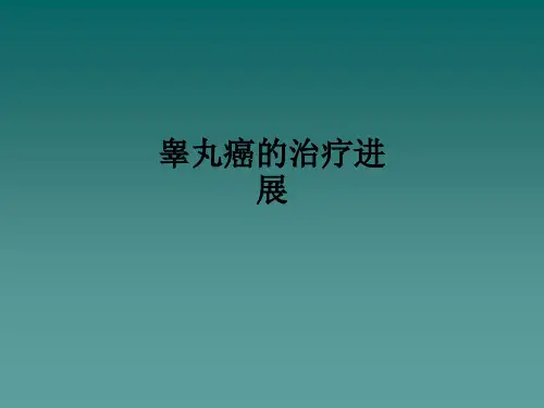 睾丸癌的治疗进展ppt课件