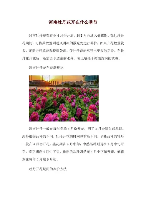 河南牡丹花开在什么季节