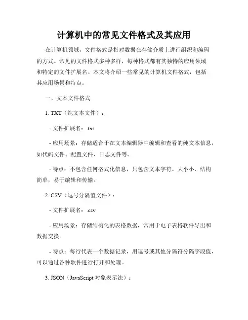 计算机中的常见文件格式及其应用