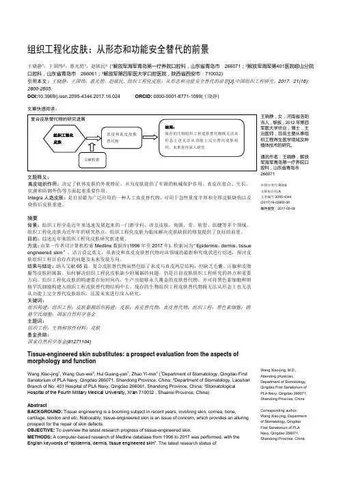 组织工程化皮肤：从形态和功能安全替代的前景
