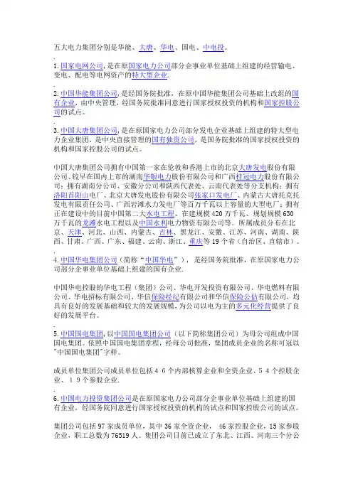 5大电力集团