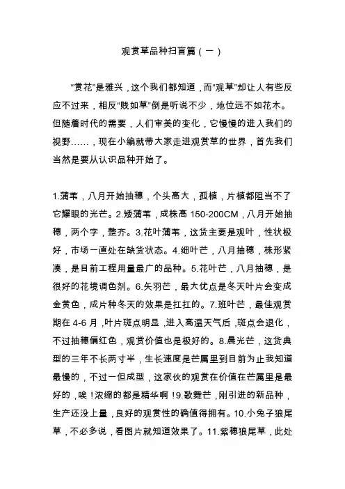 观赏草品种扫盲篇(一)