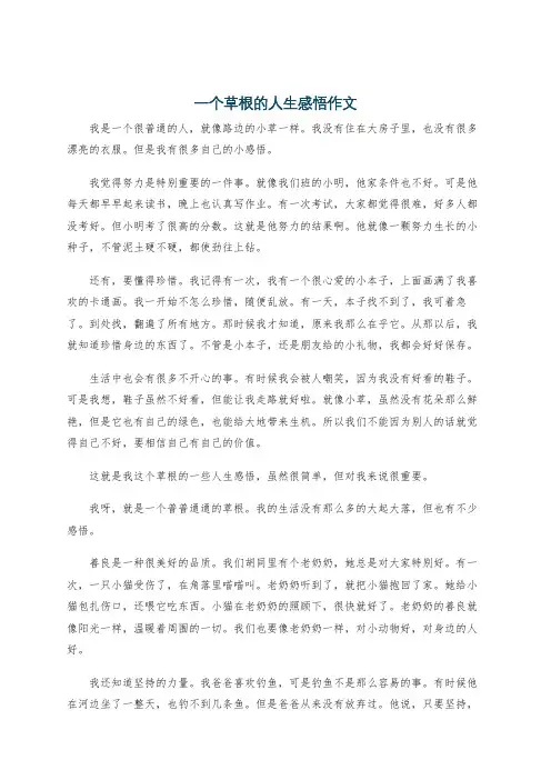 一个草根的人生感悟作文