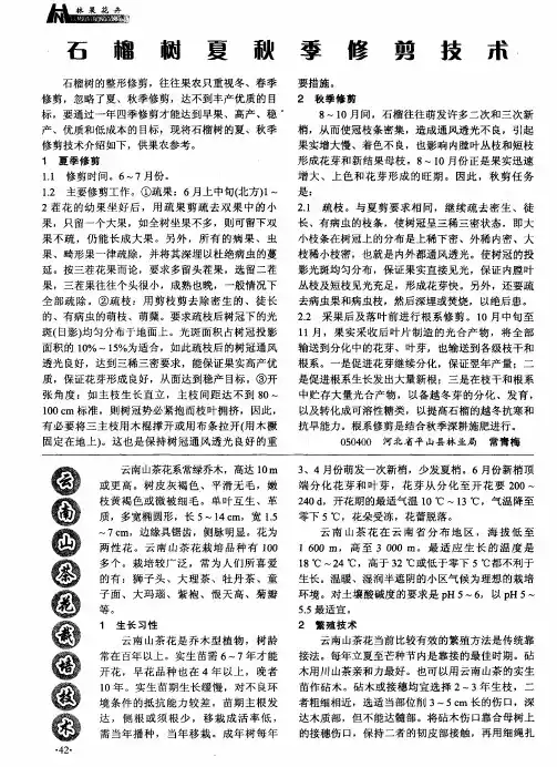 石榴树夏秋季修剪技术