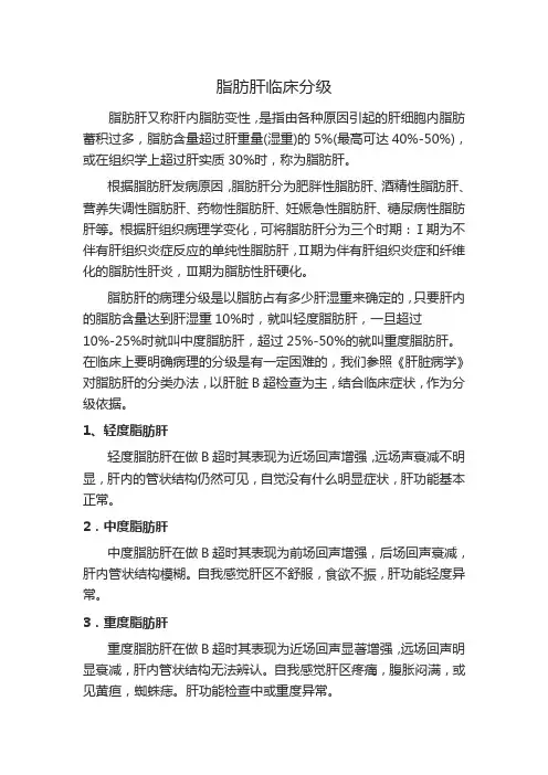 脂肪肝临床分级