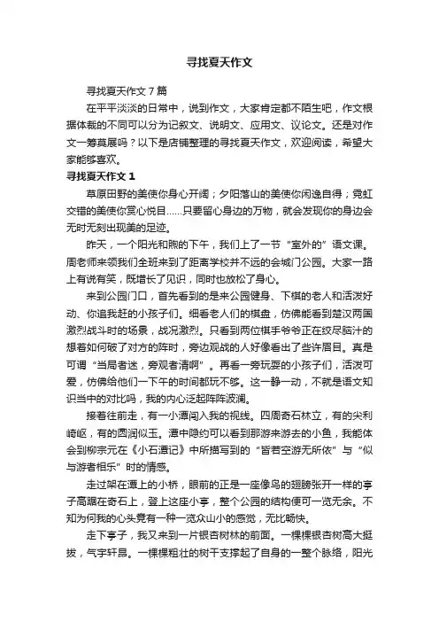 寻找夏天作文