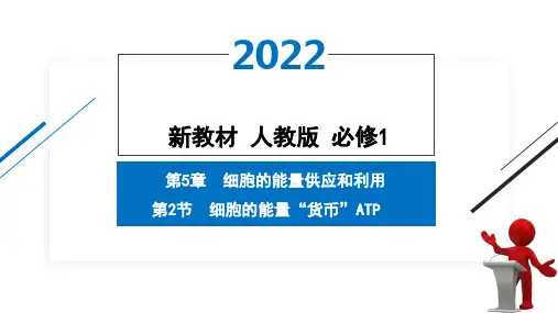 第2节 细胞的能量“货币”ATP