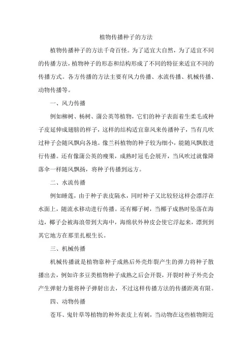 植物传播种子的方法