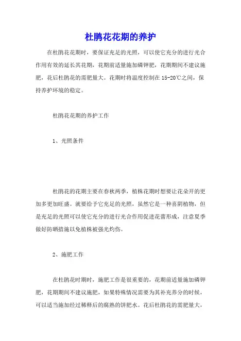 杜鹃花花期的养护