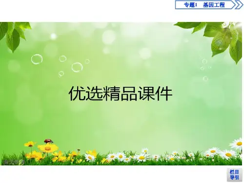 高中人教版选修3 1.1 DNA重组技术的基本工具 课件(61张)