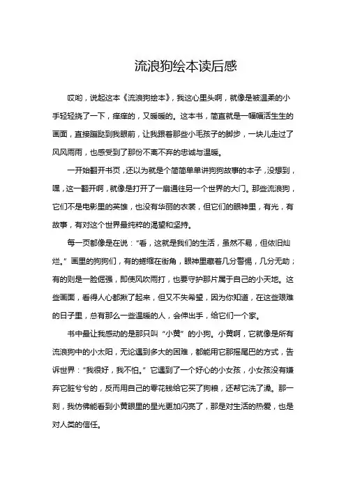 流浪狗绘本读后感