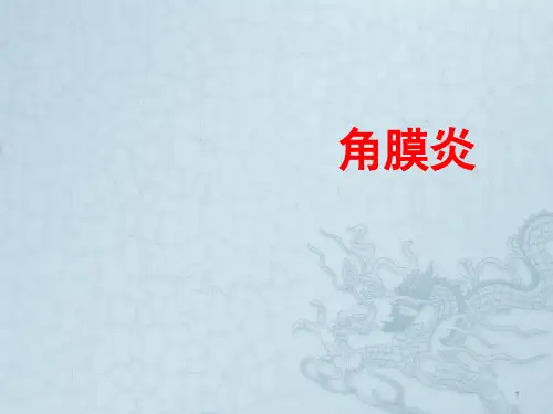 角膜炎ppt课件【24页】