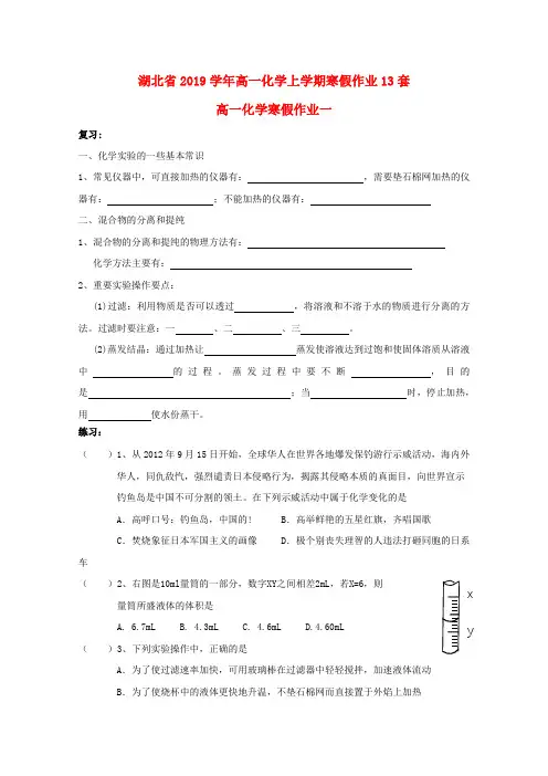 湖北省2019学年高一化学上学期寒假作业13套