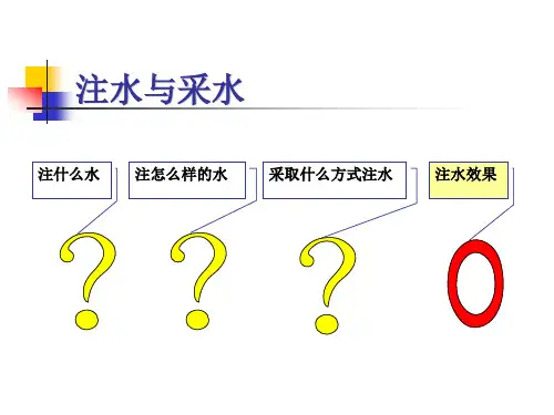 注水工艺介绍(详细版)
