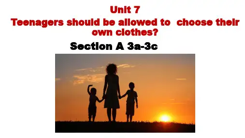 Unit7SectionA3a-3c课件人教版九年级英语全册