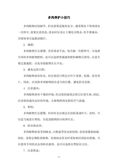 多肉养护小技巧
