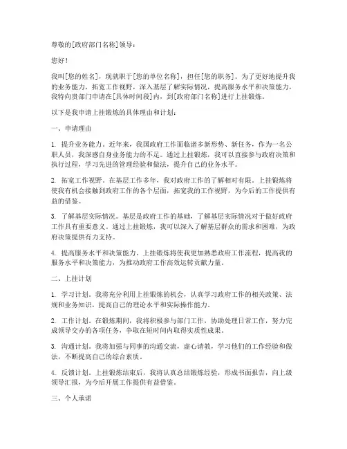 政府办上挂申请书怎么写
