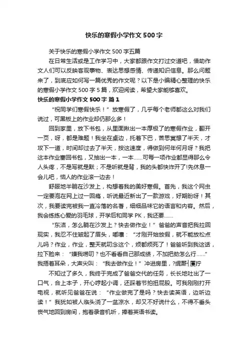 快乐的寒假小学作文500字