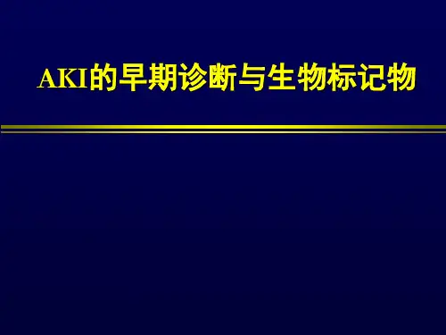 AKI生物标记物