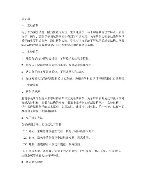 兔子解剖实验报告原理(3篇)