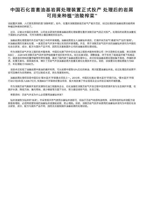 中国石化首套油基岩屑处理装置正式投产