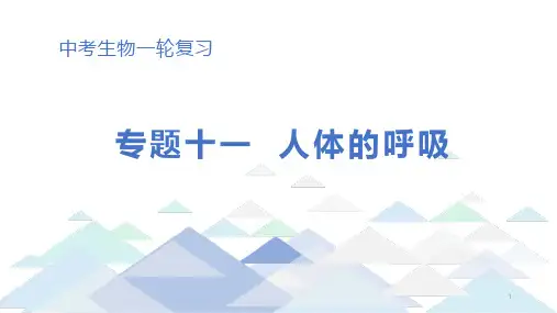 初中生物中考总复习课件：专题11-人体的呼吸