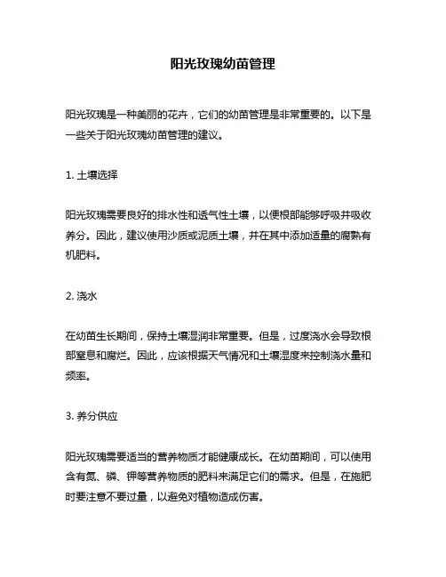 阳光玫瑰幼苗管理