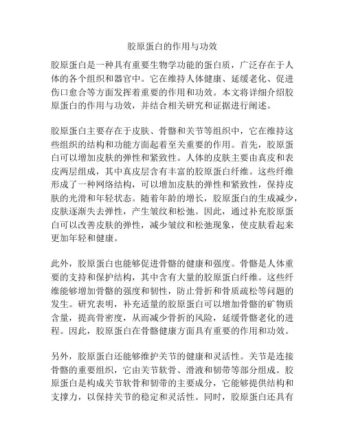 胶原蛋白的作用与功效