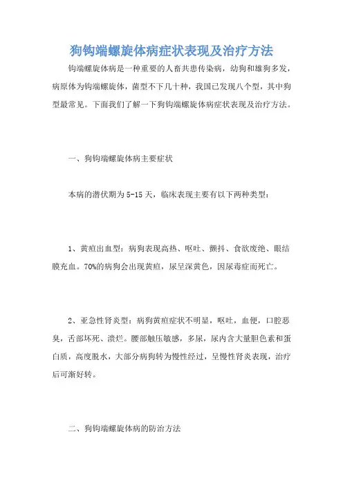 狗钩端螺旋体病症状表现及治疗方法
