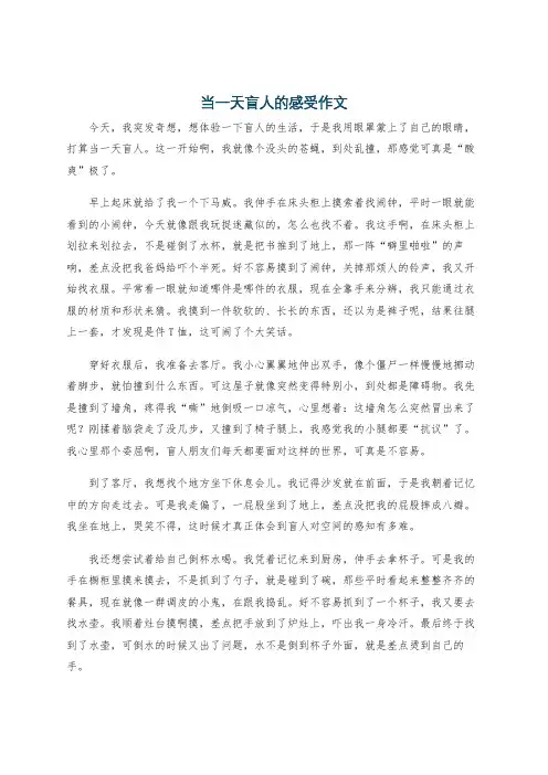 当一天盲人的感受作文