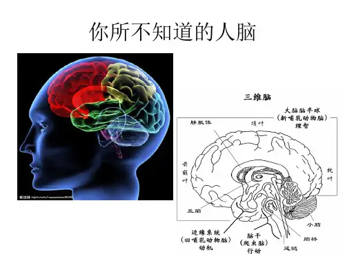 健脑操26式gai