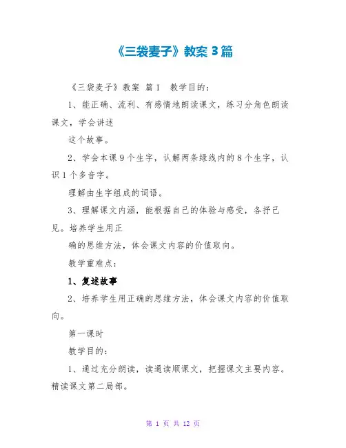 《三袋麦子》教案3篇