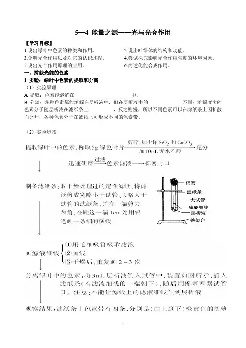 5-2能量之源——光与光合作用导学案