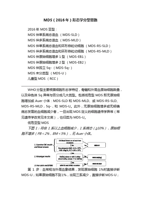 MDS（2016年）形态学分型思路