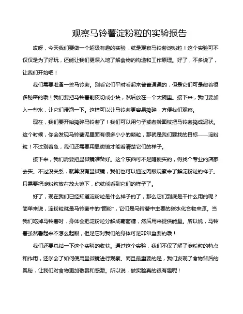 观察马铃薯淀粉粒的实验报告