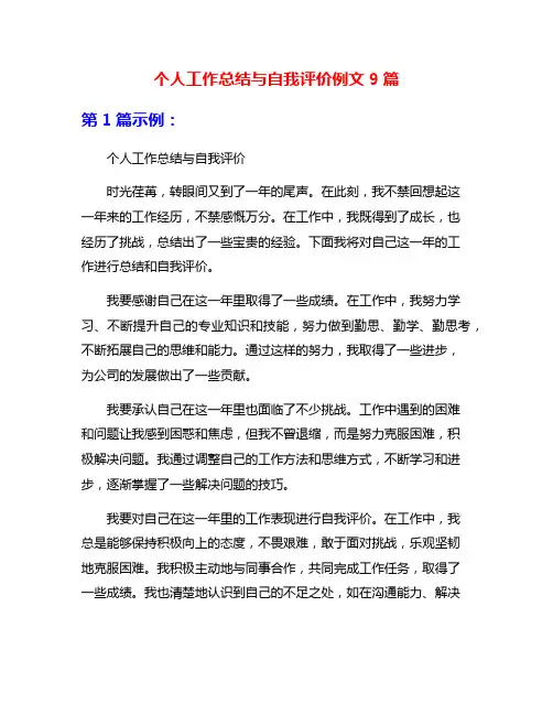 个人工作总结与自我评价例文9篇