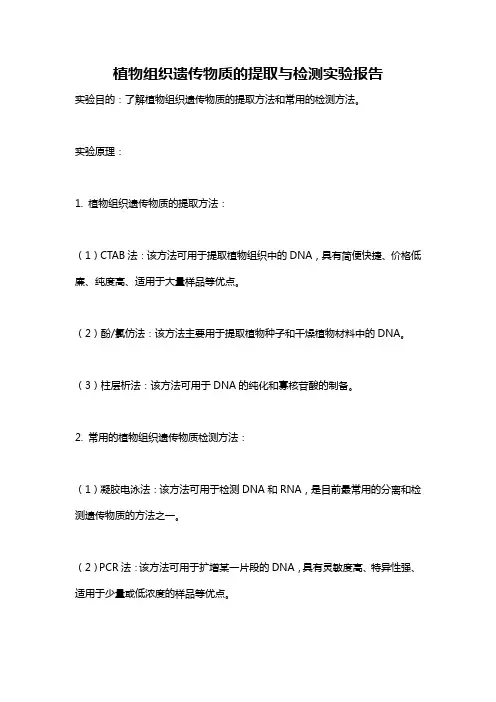 植物组织遗传物质的提取与检测实验报告