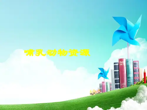 哺乳动物资源资料