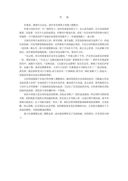 九年级语文“弯路”主题作文 (6)