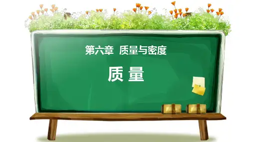 《质量》质量与密度PPT优质课件