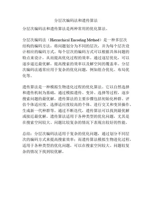 分层次编码法和遗传算法