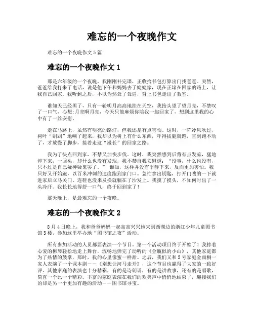 难忘的一个夜晚作文